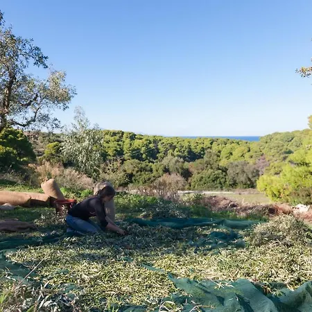 Pensiune agroturistice Lithies Farm *