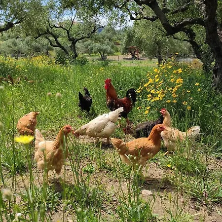 Farm stay Lithies Farm