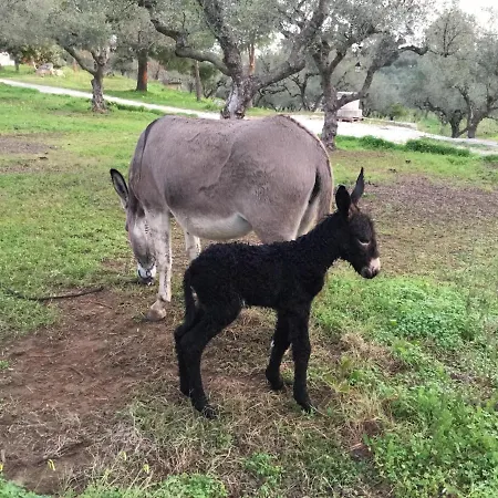 Lithies Farm Vasilikí