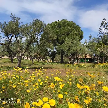 בית חווה Lithies Farm Vasilikí