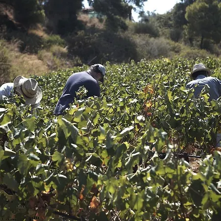 Lithies Farm בית חווה